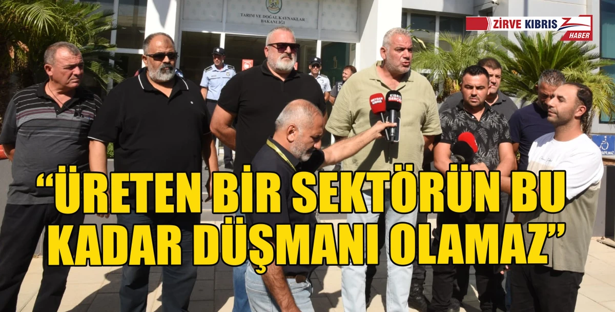  Hayvan Üreticileri ve Yetiştiricileri Birliği: Kaba yemdeki sorun büyük. Hayvanlar açlıktan ölmeden tedbir alın