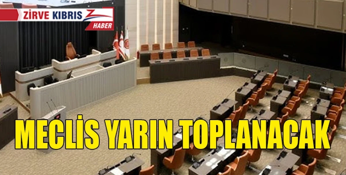  10 yasa tasarısı, 3 rapor, 3 karar tasarısı ve 1 yasa &ouml;nerisi g&uuml;ndemde