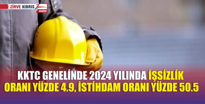 2024 Hanehalkı İşgücü Anketi sonuçları açıklandı