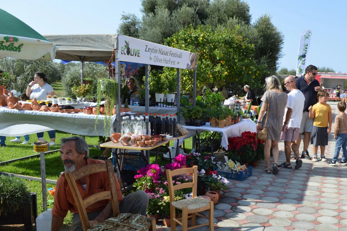 7. Ecolive Hasat Festivali, Pazar g&uuml;n&uuml; Akdeniz&rsquo;de yapılacak