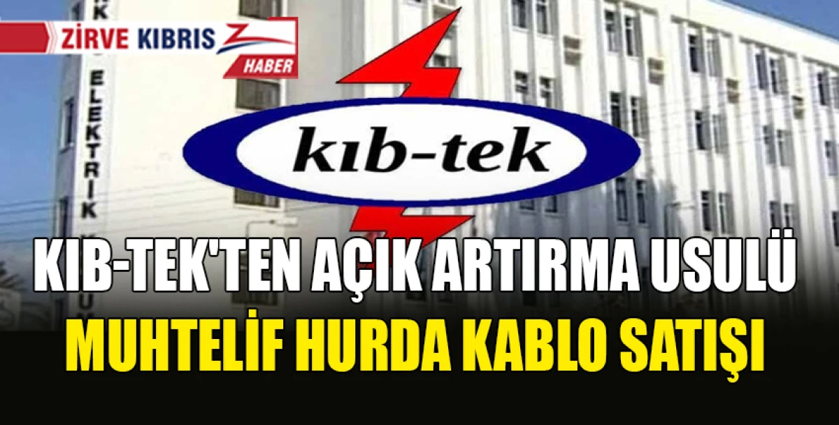 A&ccedil;ık artırma 16 Temmuz'da yapılacak