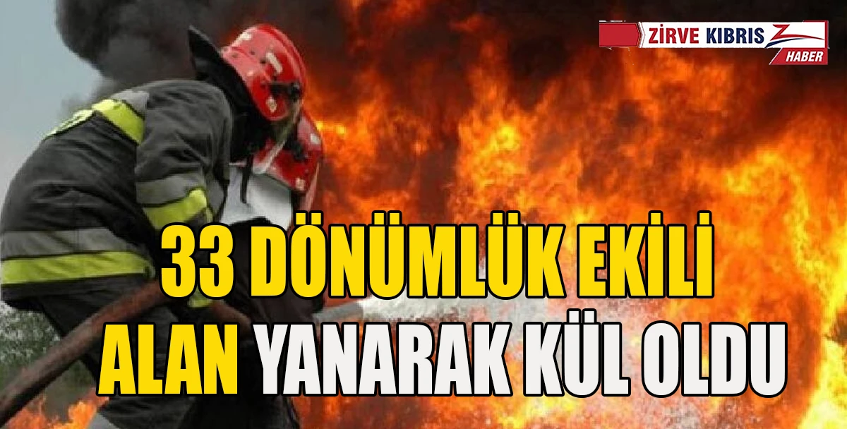 Akıncılar'da Arazi Yangını