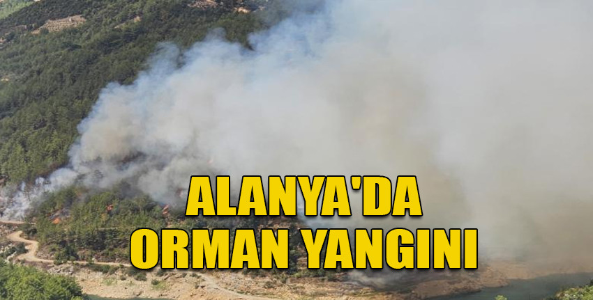 Alanya'da orman yangını: Havadan ve karadan müdahale ediliyor