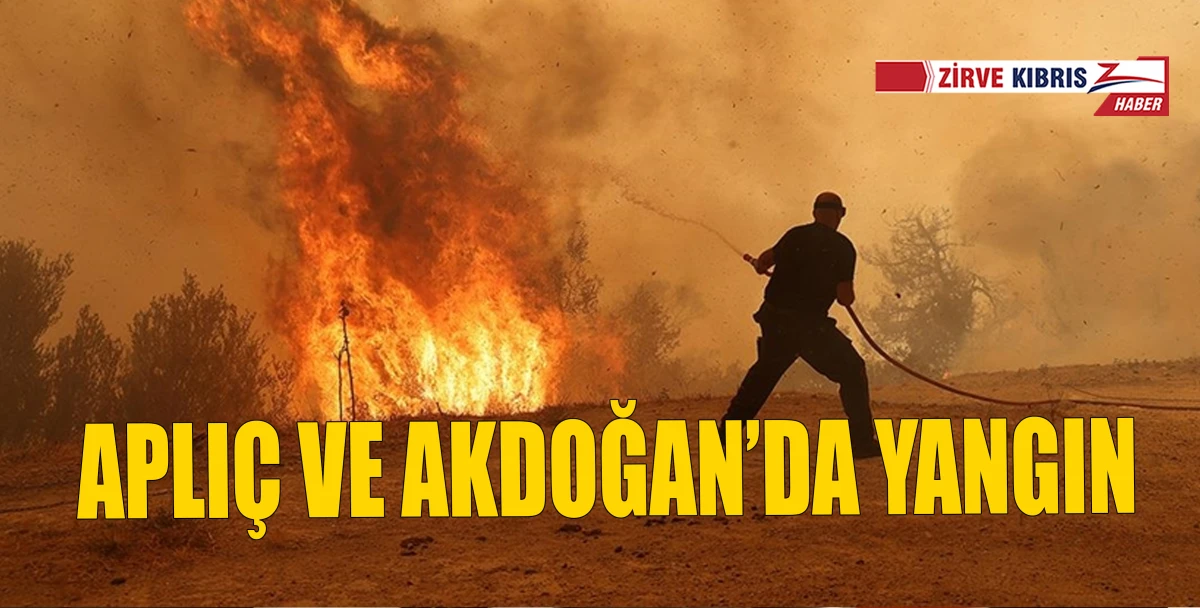 Aplı&ccedil; b&ouml;lgesindeki yangına sebep olan kişi tutuklandı
