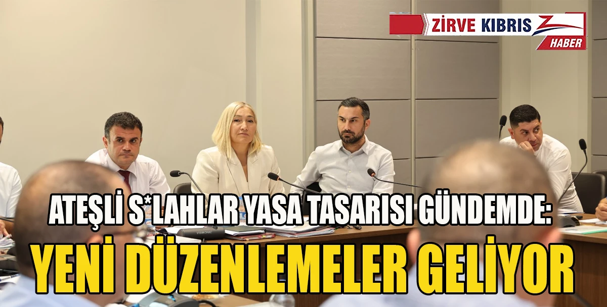 Ateşli S*lahlar (Değişiklik) Yasa Tasarısı ile g&uuml;venlik kurallarının g&uuml;&ccedil;lendirilmesi hedefleniyor