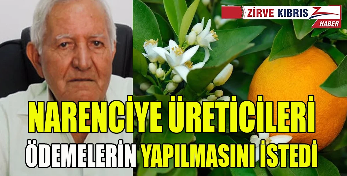 Başbakan &Uuml;stel'in s&ouml;z&uuml;n&uuml; hatırlatan Birlik, &ouml;deme yapılmasını istedi 