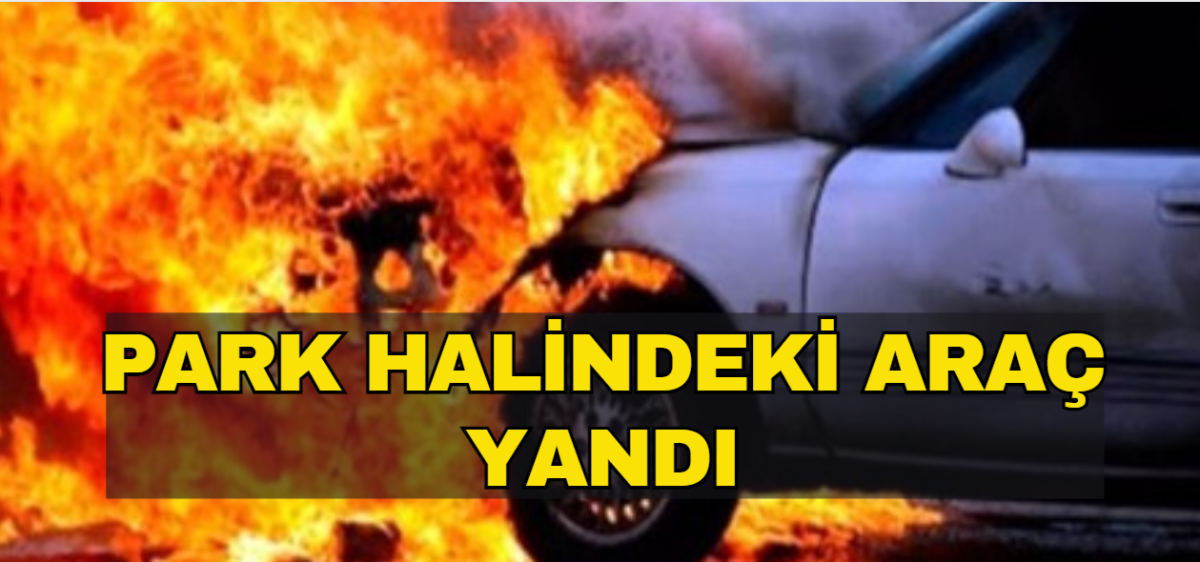 Boğazköy'de araç yangını