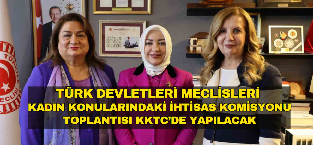 Canaltay, Ankara’da TBMM ve Azerbaycan Meclisi temsilcileriyle görüştü