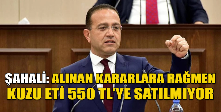 CTP Milletvekili Erkut Şahali: Aynı etin fiyatı Güney'de 350 TL