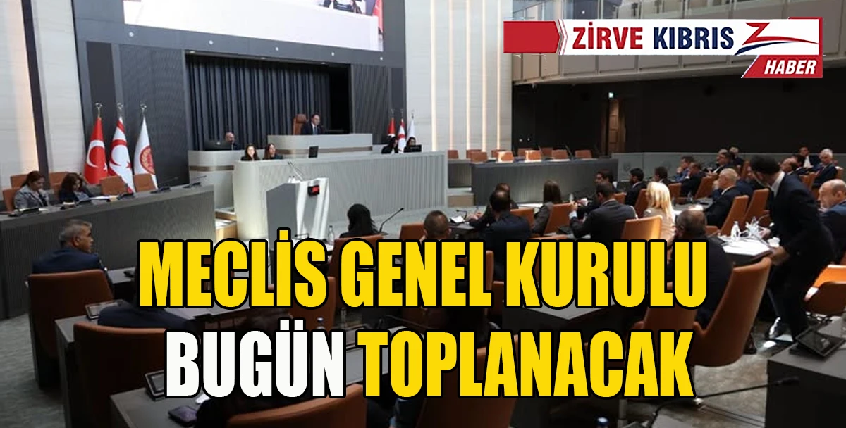 Cumhuriyet Meclisi se&ccedil;imlere kadar 15 g&uuml;nde bir toplanacak