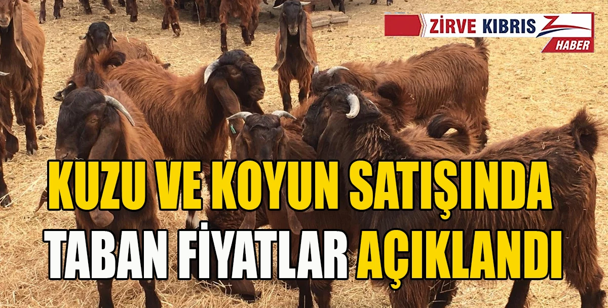 Devlet &Uuml;retme &Ccedil;iftlikleri Dairesi&rsquo;nden kasaplık hayvan satışı duyurusu