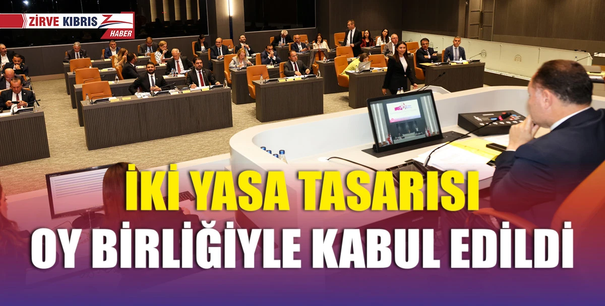 Emeklilik ve Akaryakıt ile ilgili iki yasa tasarısı oy birliğiyle kabul edildi