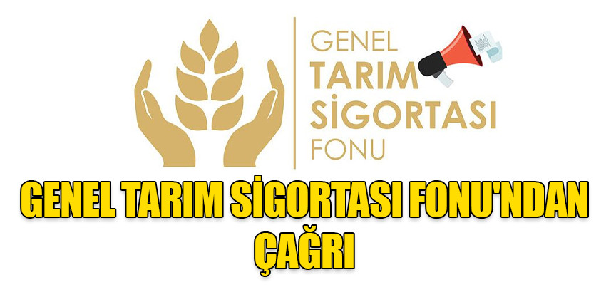 Genel Tarım Sigortası Fonu: İlkbahar patates ekimi yapılacak arazilerin 15 Şubat’a kadar beyan edilmesi gerekiyor