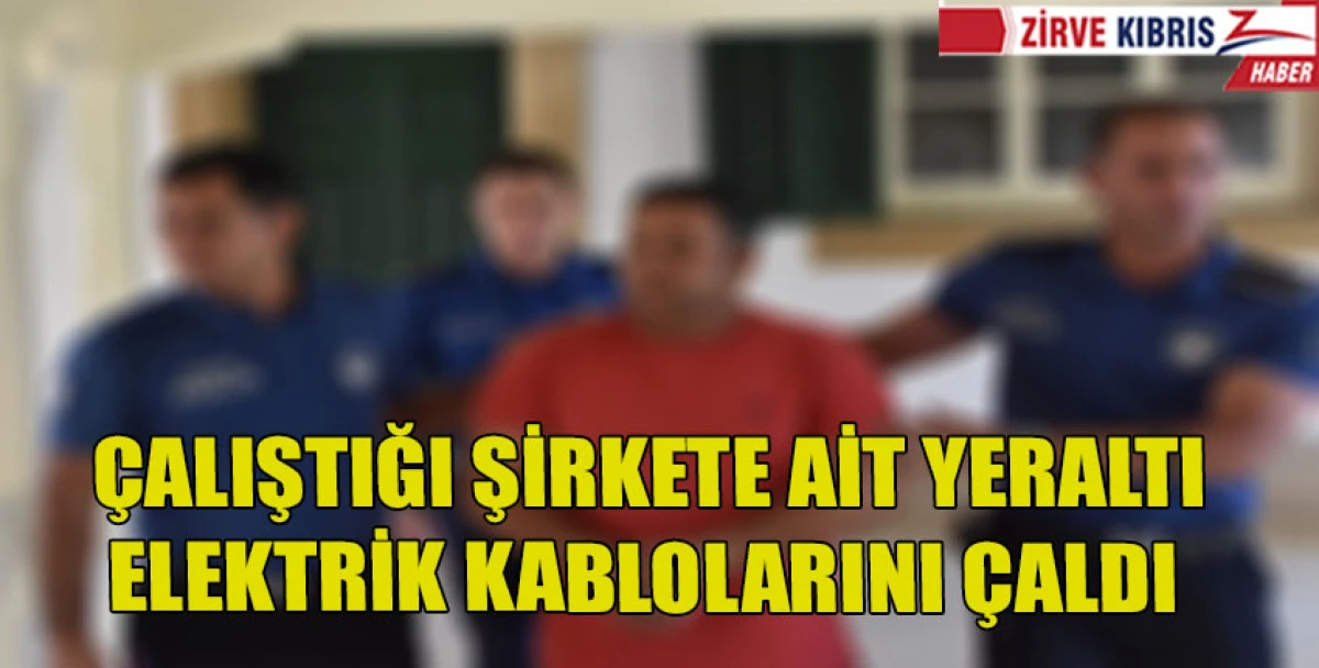 Hırsızlık zanlısı mahkemeye &ccedil;ıkarıldı