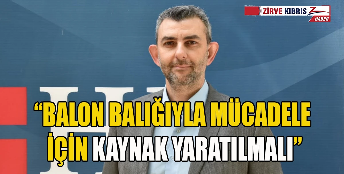 HP'den Balon Balığıyla M&uuml;cadele &Ccedil;ağrısı