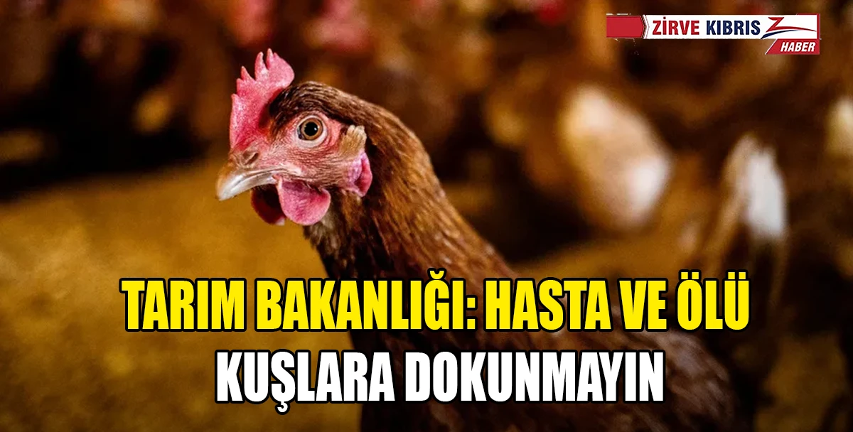 Kuş gribine karşı kanatlı hayvan sahiplerine &ouml;nlem &ccedil;ağrısı
