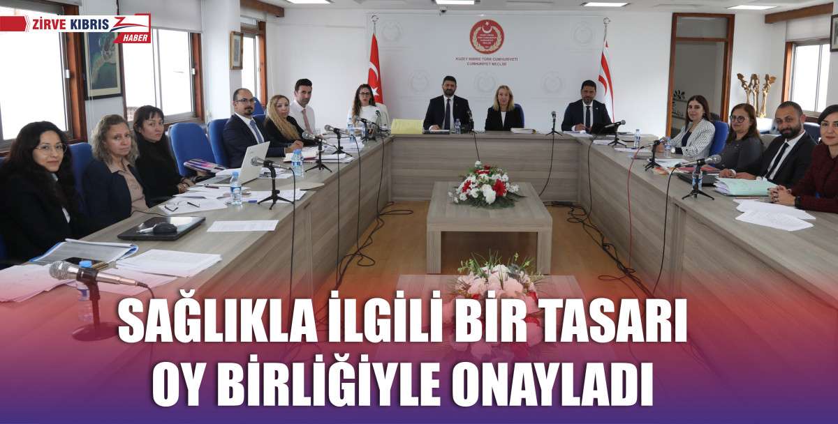 Meclis İdari, Kamu ve Sağlık İşleri Komitesi sağlık yasalarını görüştü