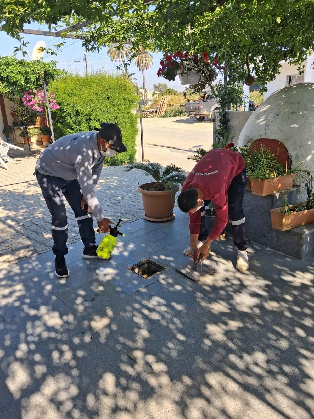 Mesarya Belediyesi haşereyle m&uuml;cadele &ccedil;alışmalarını s&uuml;rd&uuml;r&uuml;yor