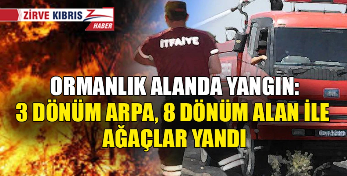 Mevlevi k&ouml;y&uuml;nde ormanlık alanda &ccedil;ıkan yangın zarara neden oldu