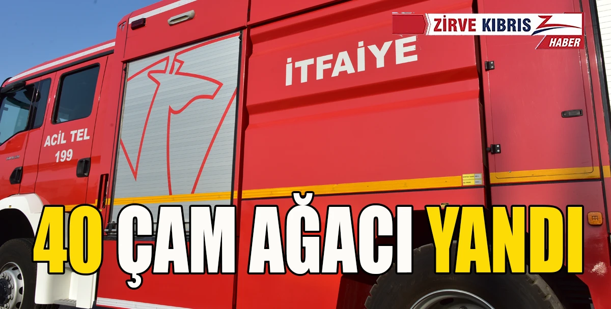  Muratağa-Sandallar Şehitliği yanında arazi yangını&hellip;