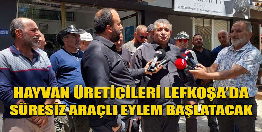 Naimoğulları: 