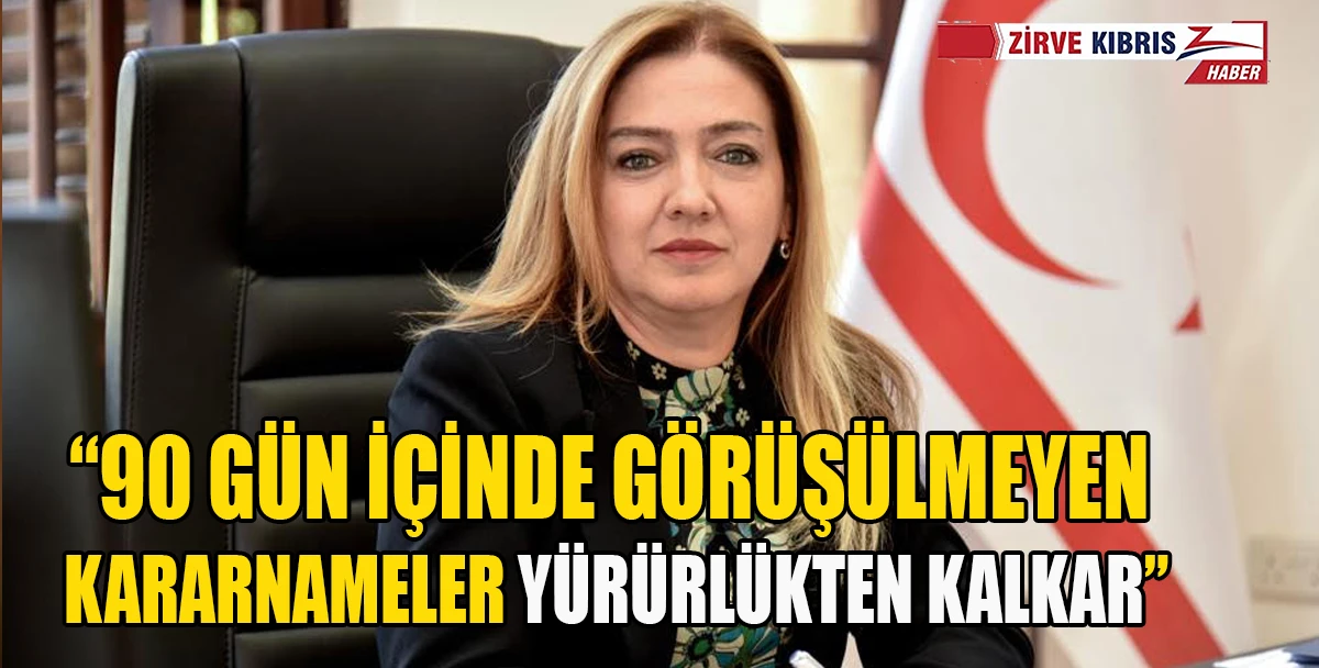 Ombudsman Varol&rsquo;dan Kritik Kararname Uyarısı