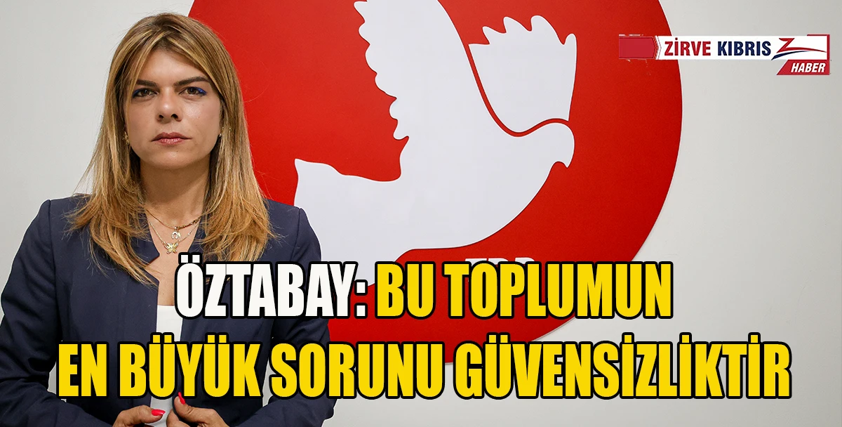&Ouml;ztabay: TDP Yeni Kurulacak H&uuml;k&uuml;metin Ortağı Olacak
