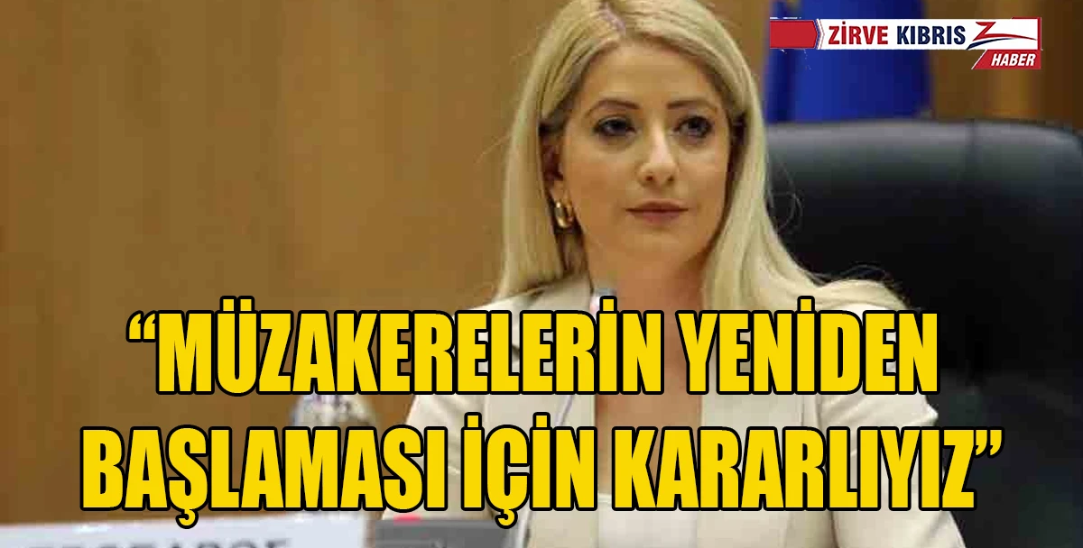 Rum Meclis Başkanı Dimitriu&rsquo;dan Kıbrıs Konusunda "Hareketlilik" Vurgusu