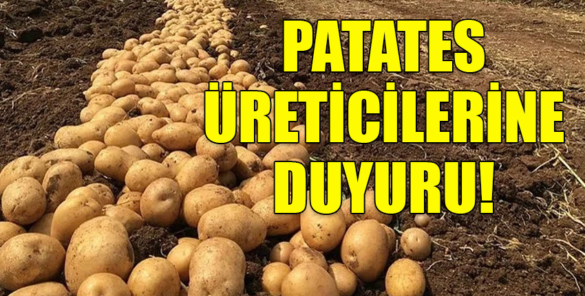 Tarım Bakanlığı’ndan patates üreticilerine tavsiye
