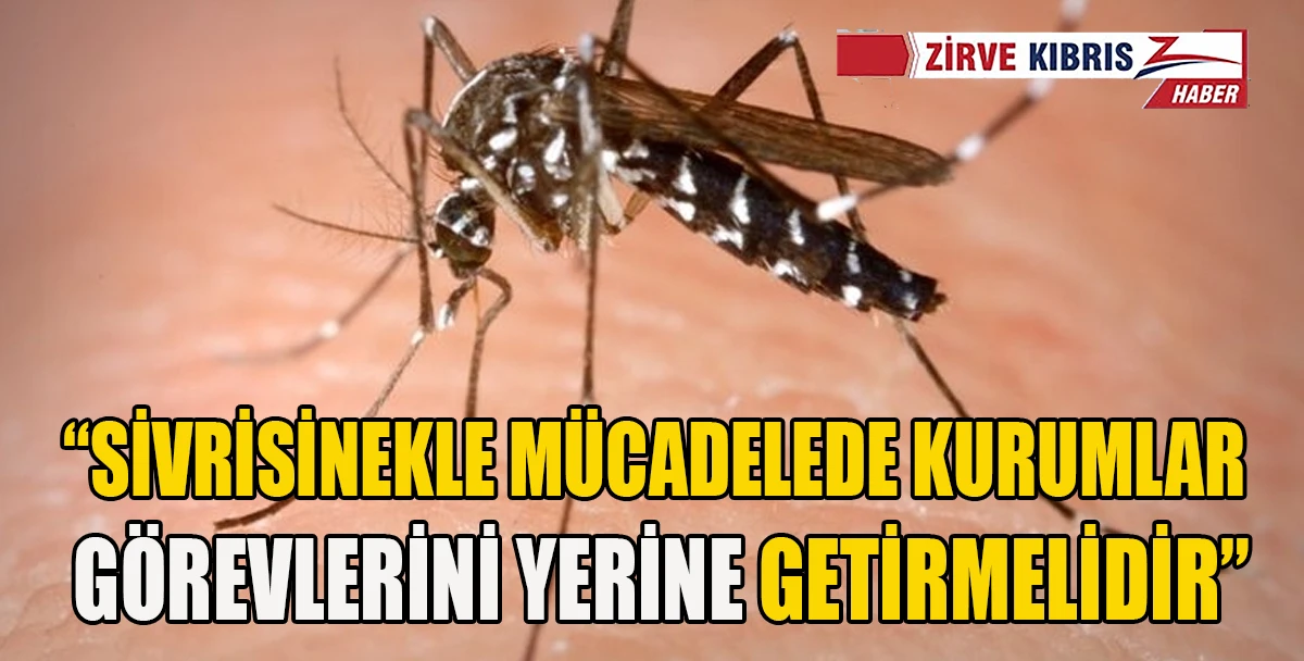 Serbest &Ccedil;alışan Hekimler Birliği&rsquo;nden &ccedil;ağrı