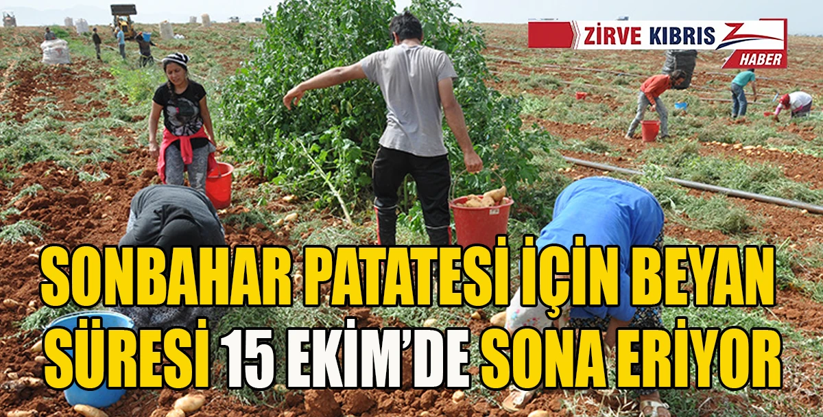 Sonbahar patates beyanları i&ccedil;in son tarih 15 Ekim
