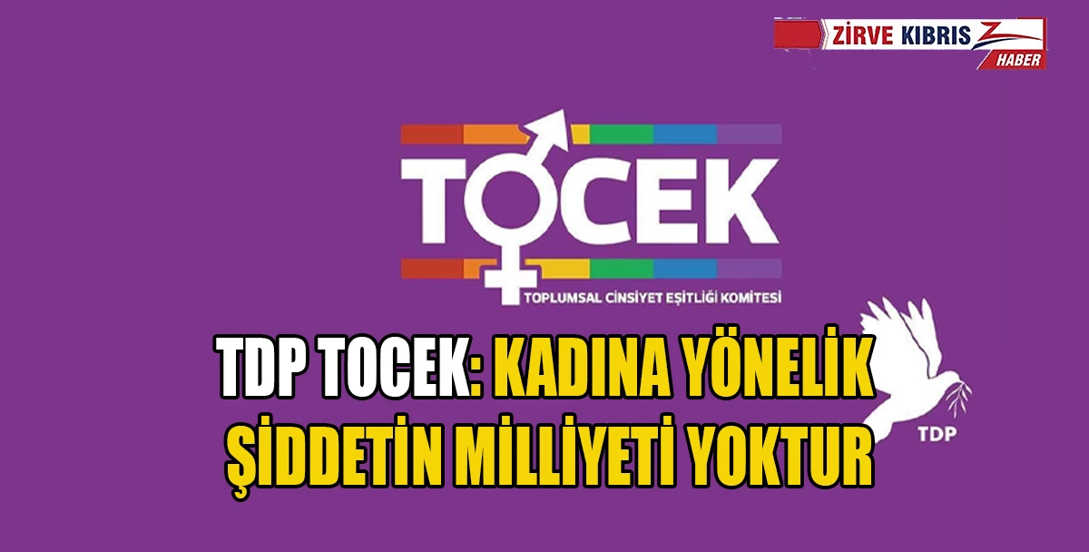  TDP TOCEK: Kadına y&ouml;nelik şiddetin &ouml;nlenmesi devletin en temel sorumluluklarından biri
