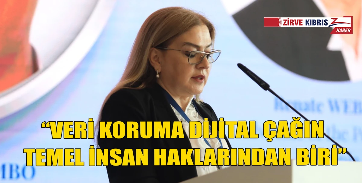 Varol, Bak&uuml;&rsquo;de d&uuml;zenlenen Ombudsman Zirvesine katıldı