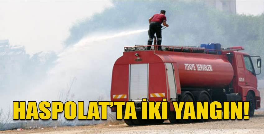 Yangınlarda 4 dönümlük arazideki kuru otlar ile ağaç yanarak zarar gördü