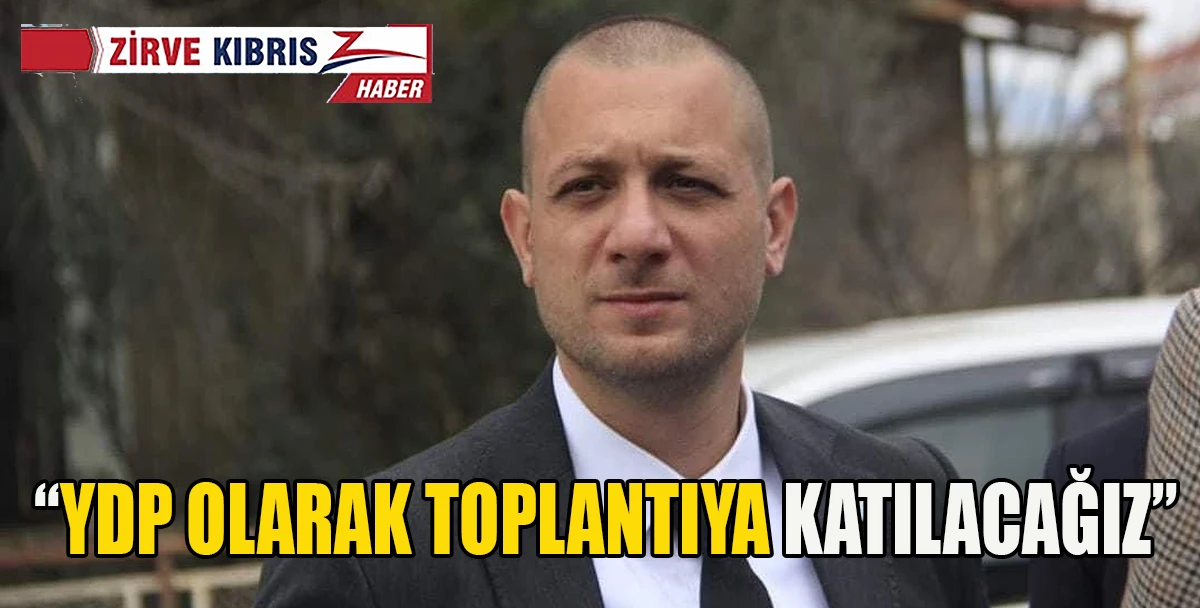 YDP, Meclis Hukuk Komitesi toplantısına katılacak