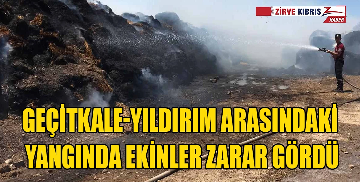 Y&uuml;zlerce D&ouml;n&uuml;ml&uuml;k Arpa ve Buğday Tarlası Yangında Zarar G&ouml;rd&uuml;